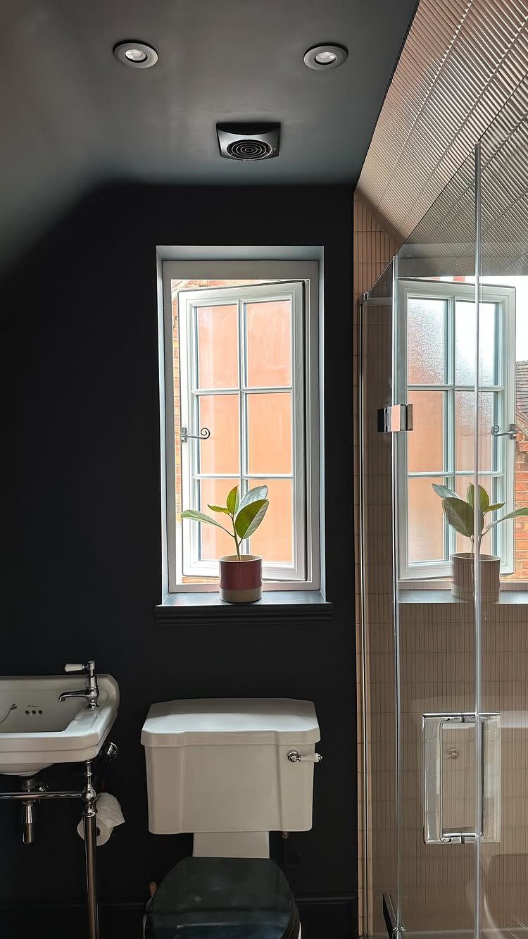 Small bathroom with dark grey walls, sloped ceiling, and a white toilet.