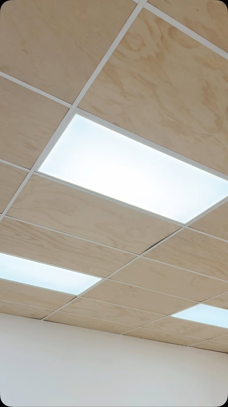 Plywood ceiling panels in a grid with integrated rectangular white LED lights.