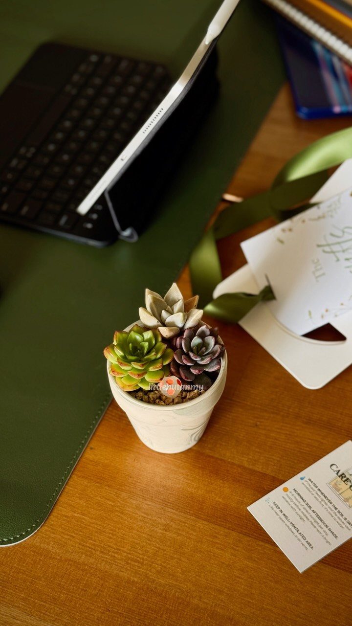 Wooden desk with a dark green mat, tablet, keyboard, and small succulent plant.