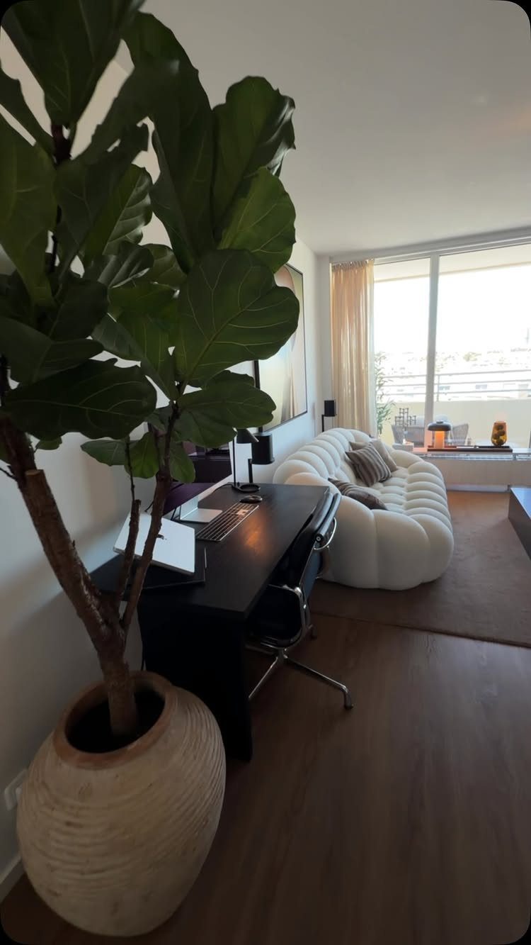 Modern home office with a black desk, large green plant, and white curved sofa.