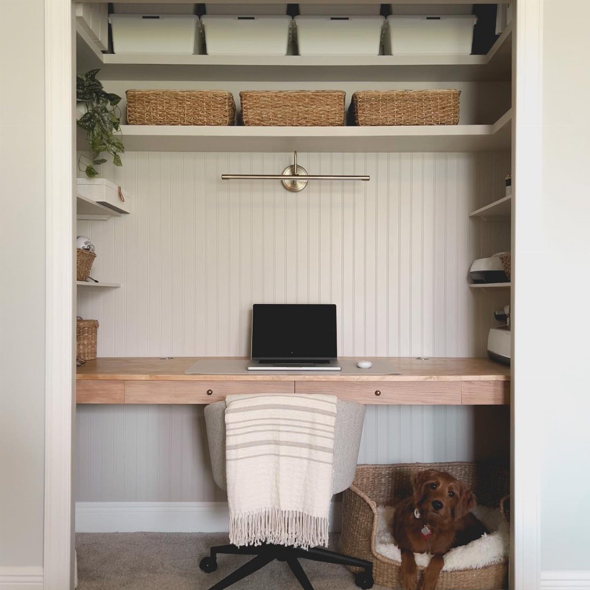 Closet home office with a wooden desk, laptop, and white storage shelving.