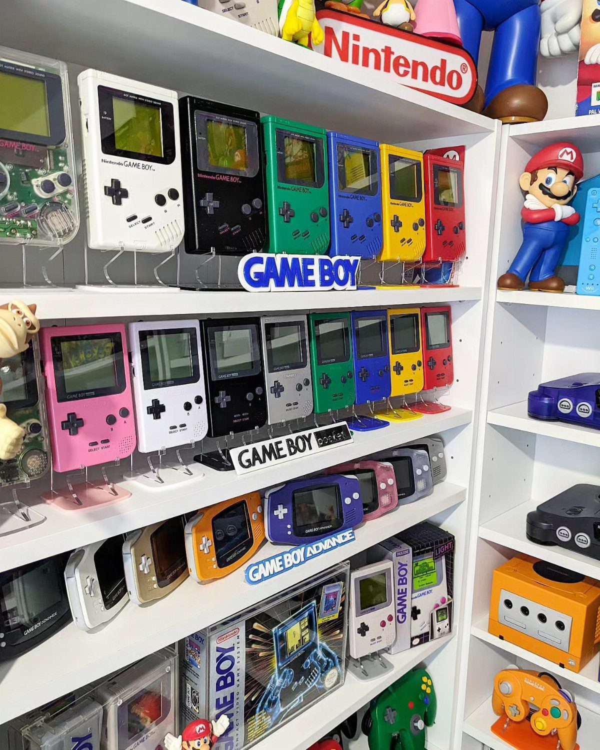 Vintage Game Boy handheld consoles displayed in rows on white museum-style shelves.